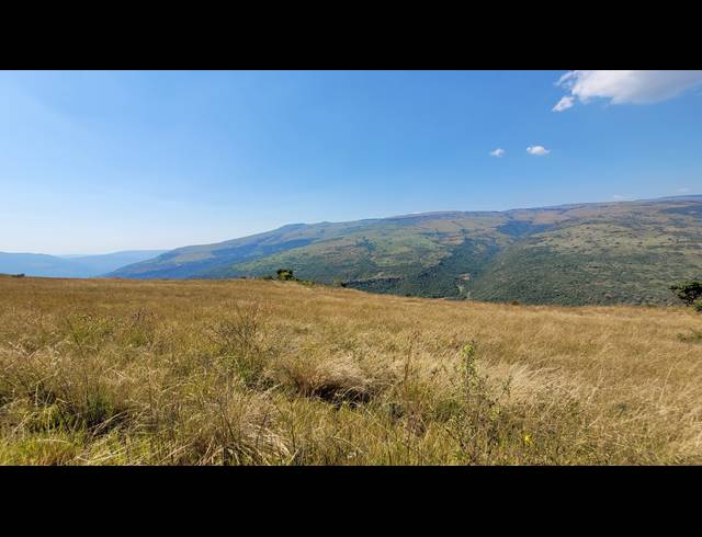 227HA FARM FOR SALE IN NELSPRUIT RURAL